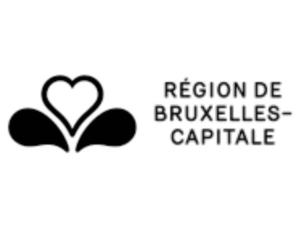 Region bruxelles capitale - Oddpaper - Carnet recyclé